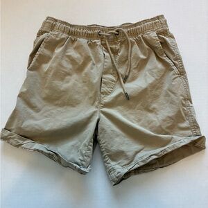 American Eagle Outfitters Tan Men's Flat Front Shorts